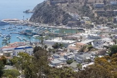 Catalina-Harbor-looking-east