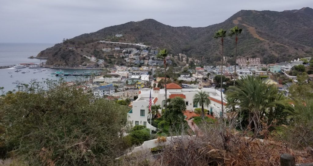 Catalina-Harbor-view